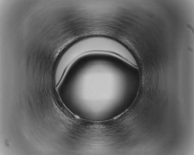 X0000102800444200809021140