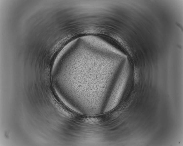 X0000102800445200809021140