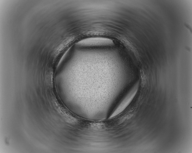 X0000102800446200809021140