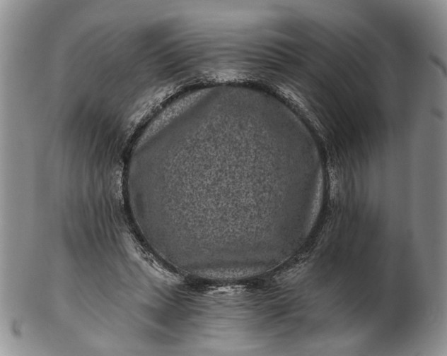 X0000102800447200809021140