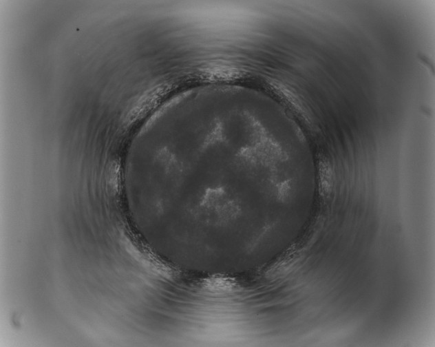 X0000102800451200809021140