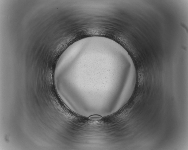 X0000102800453200809021140