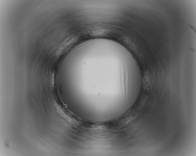 X0000102800454200809021140