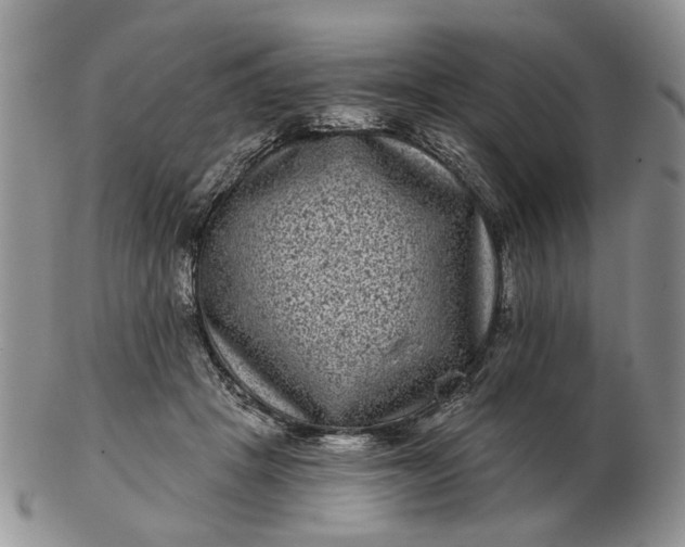 X0000102800457200809021140