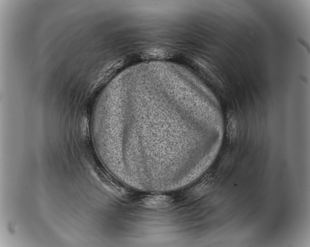 X0000102800459200809021140