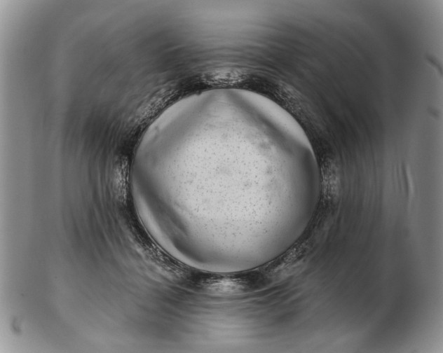 X0000102800460200809021140