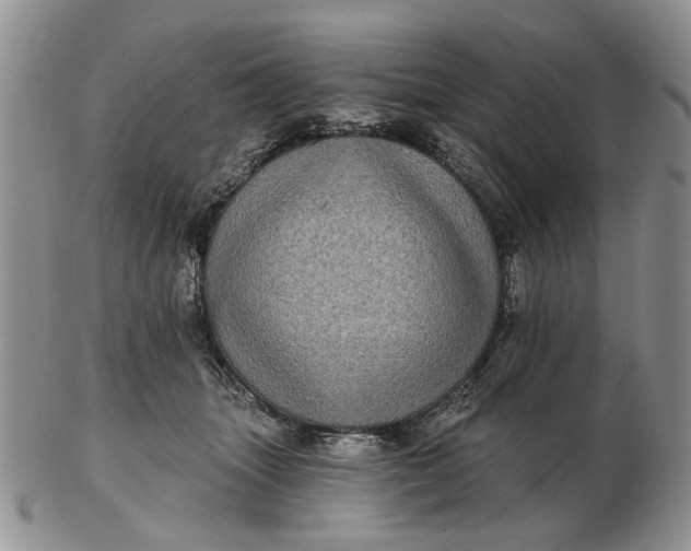 X0000102800463200809021140