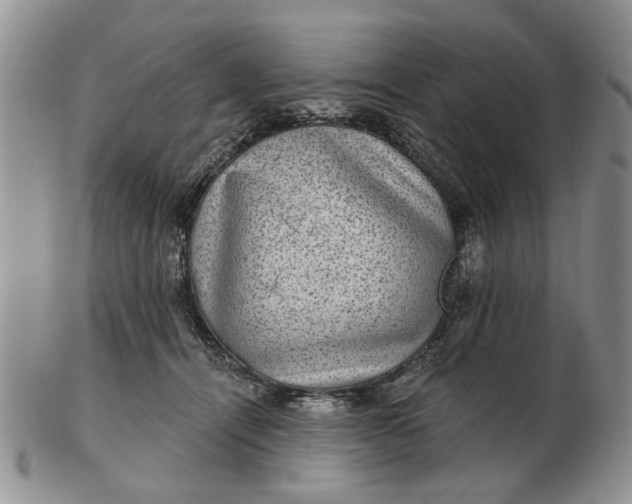 X0000102800464200809021140