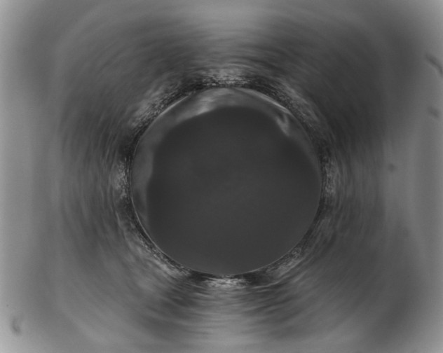 X0000102800465200809021140