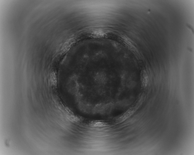 X0000102800467200809021140