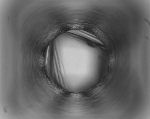 X0000102800469200809021140