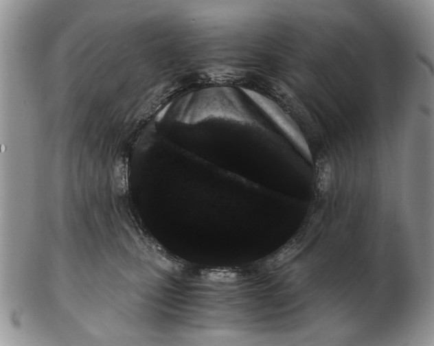 X0000102800471200809021140