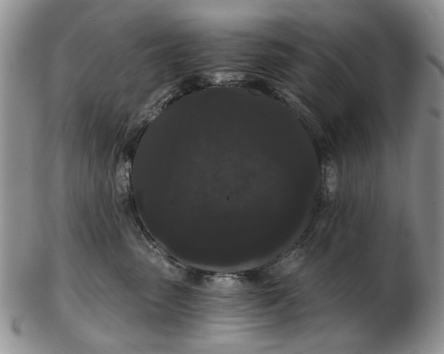 X0000102800475200809021140