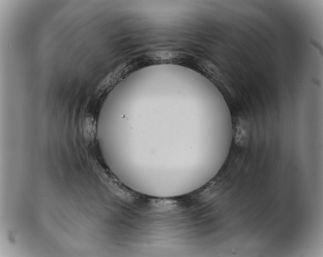 X0000102800476200809021140