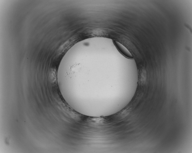 X0000102800478200809021140