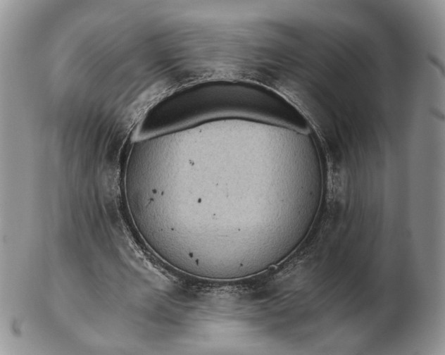 X0000102800485200809021140