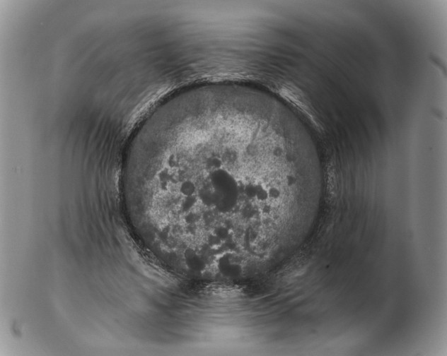 X0000102800491200809021140