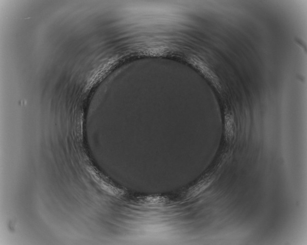 X0000102800493200809021139