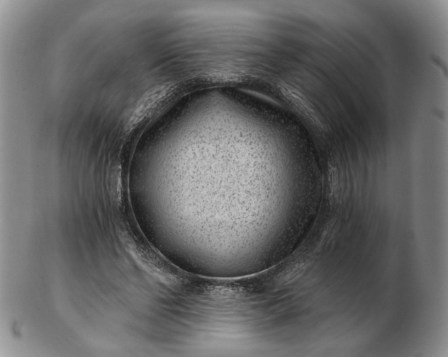 X0000102800494200809021139