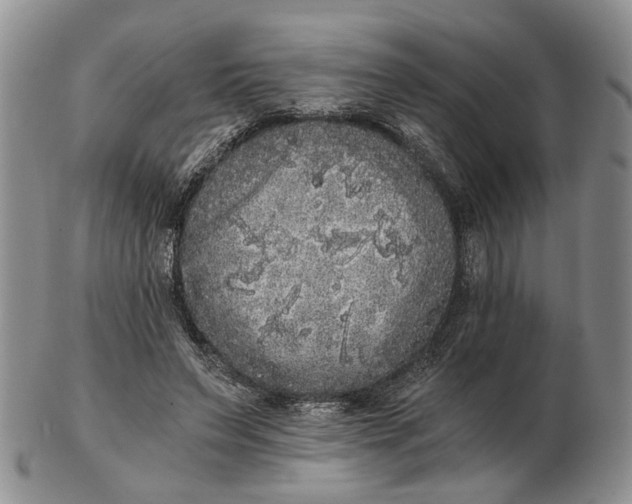 X0000102800495200809021139