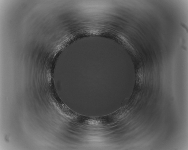 X0000102800500200809021139