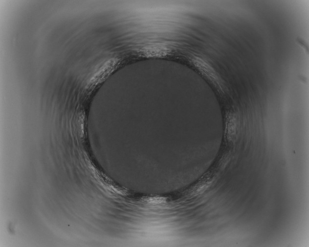 X0000102800501200809021139