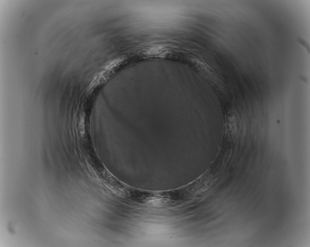 X0000102800504200809021139