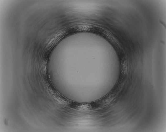 X0000102800505200809021139