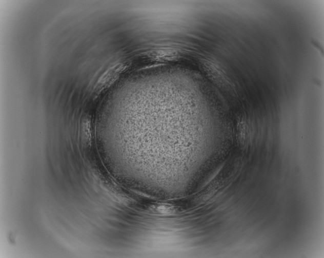 X0000102800506200809021139