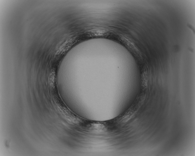 X0000102800509200809021139