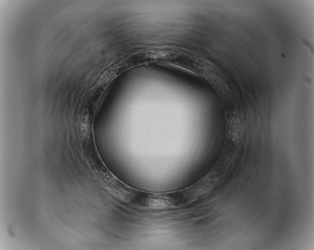 X0000102800510200809021139