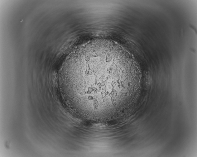 X0000102800511200809021139