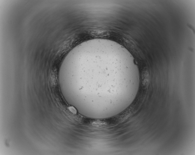 X0000102800515200809021139