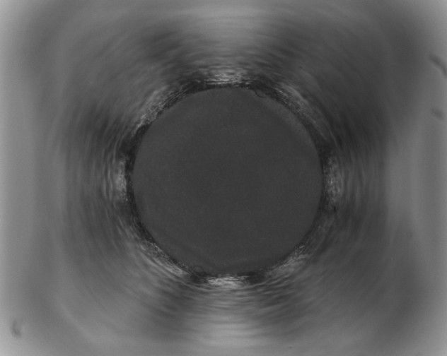 X0000102800516200809021139