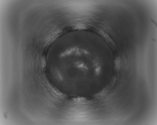 X0000102800517200809021139