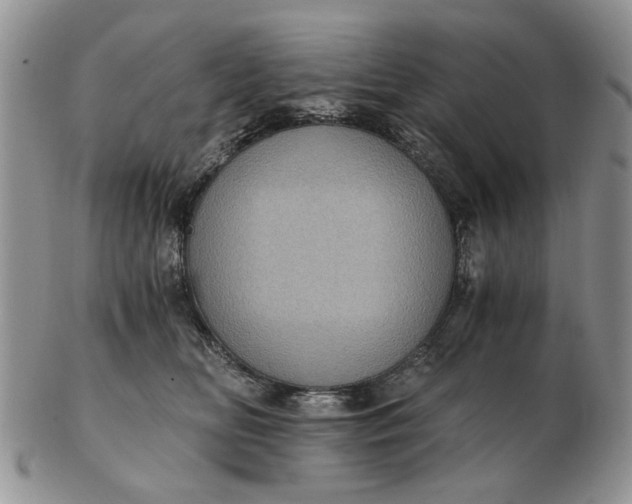 X0000102800518200809021139