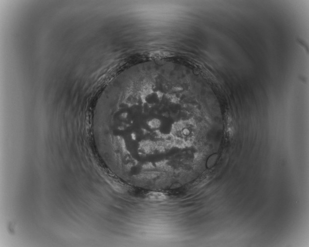 X0000102800519200809021139