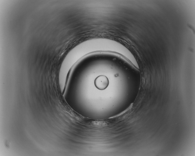 X0000102800520200809021139