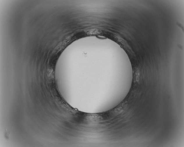 X0000102800521200809021139