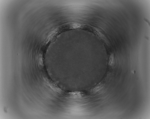 X0000102800524200809021139