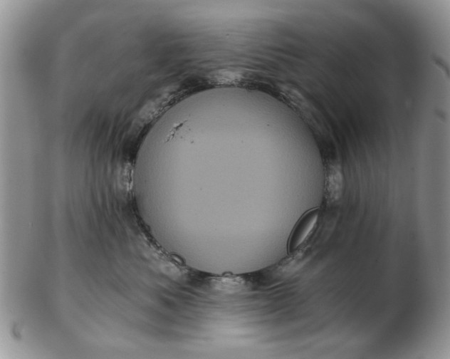 X0000102800525200809021139