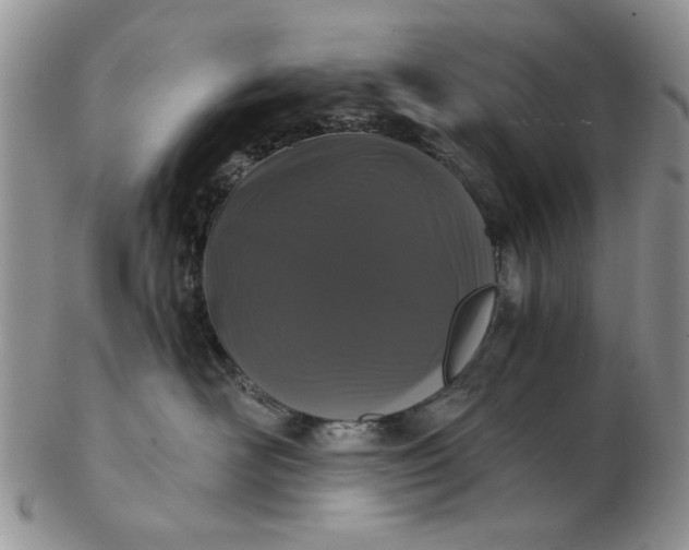 X0000102800526200809021139