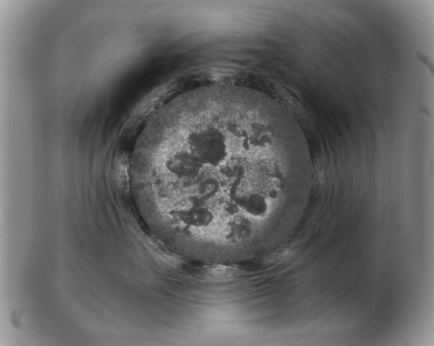 X0000102800527200809021139