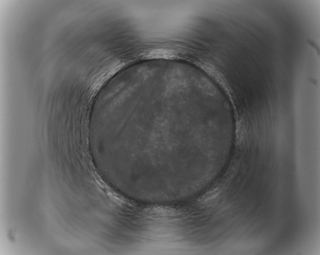 X0000102800529200809021138