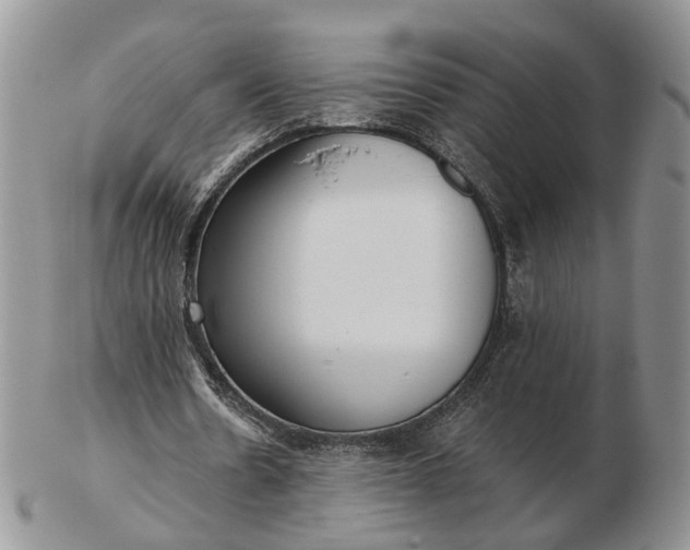 X0000102800530200809021138