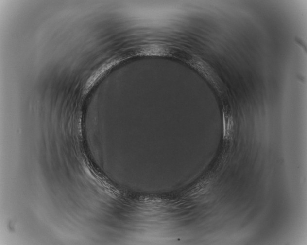 X0000102800531200809021138