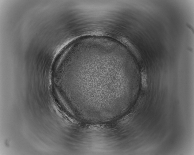 X0000102800532200809021138