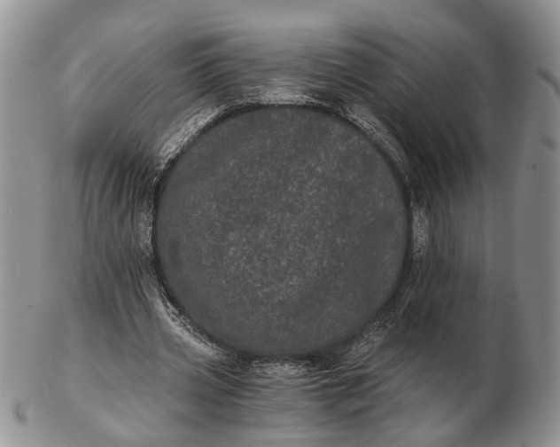 X0000102800533200809021138