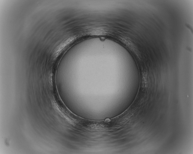 X0000102800535200809021138