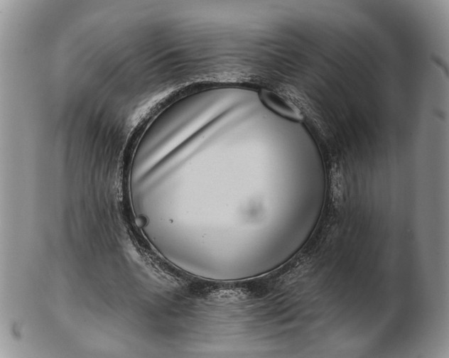 X0000102800536200809021138